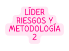 LÍDER RIESGOS Y METODOLOGÍA 2